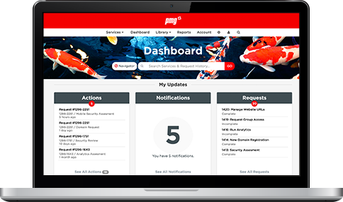 Koi dashboard